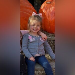 Janie and Jack Gray Knit Sweater